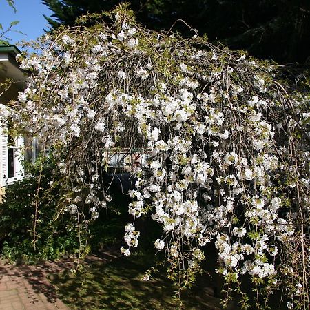 Carawatha Gardens Villa Bright Kültér fotó