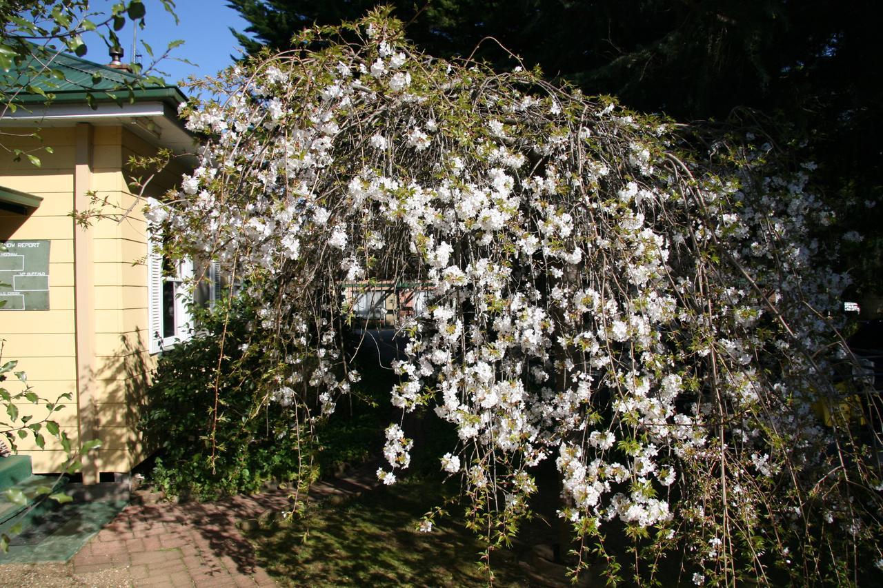 Carawatha Gardens Villa Bright Kültér fotó
