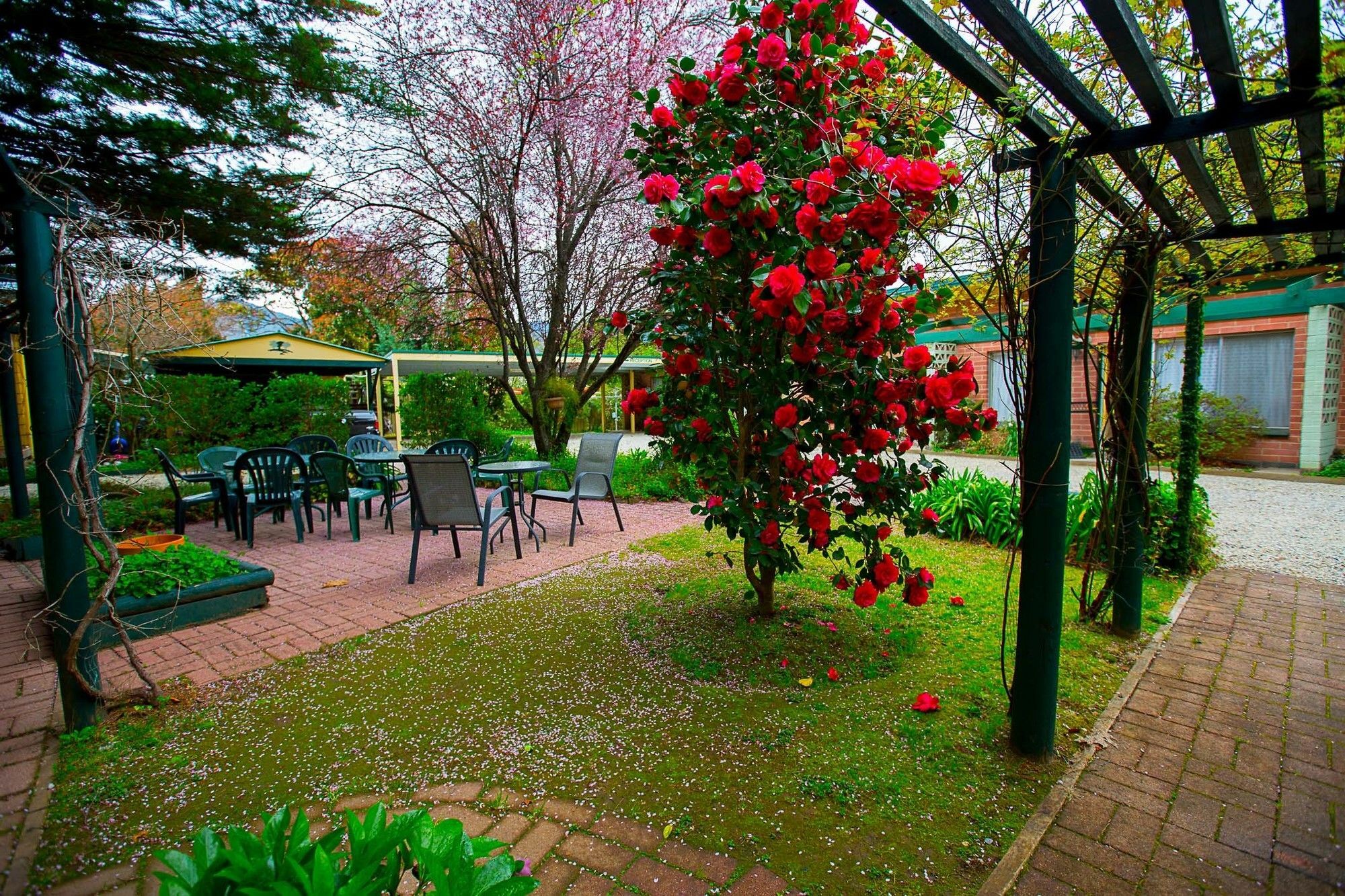 Carawatha Gardens Villa Bright Kültér fotó